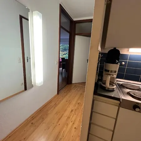 Moderne Und Zentral Gelegene Ferienwohnung In Braunlage Mit Rodelpiste Und Start Ski Langlauf In 300 Metern Entfernung Exterior photo