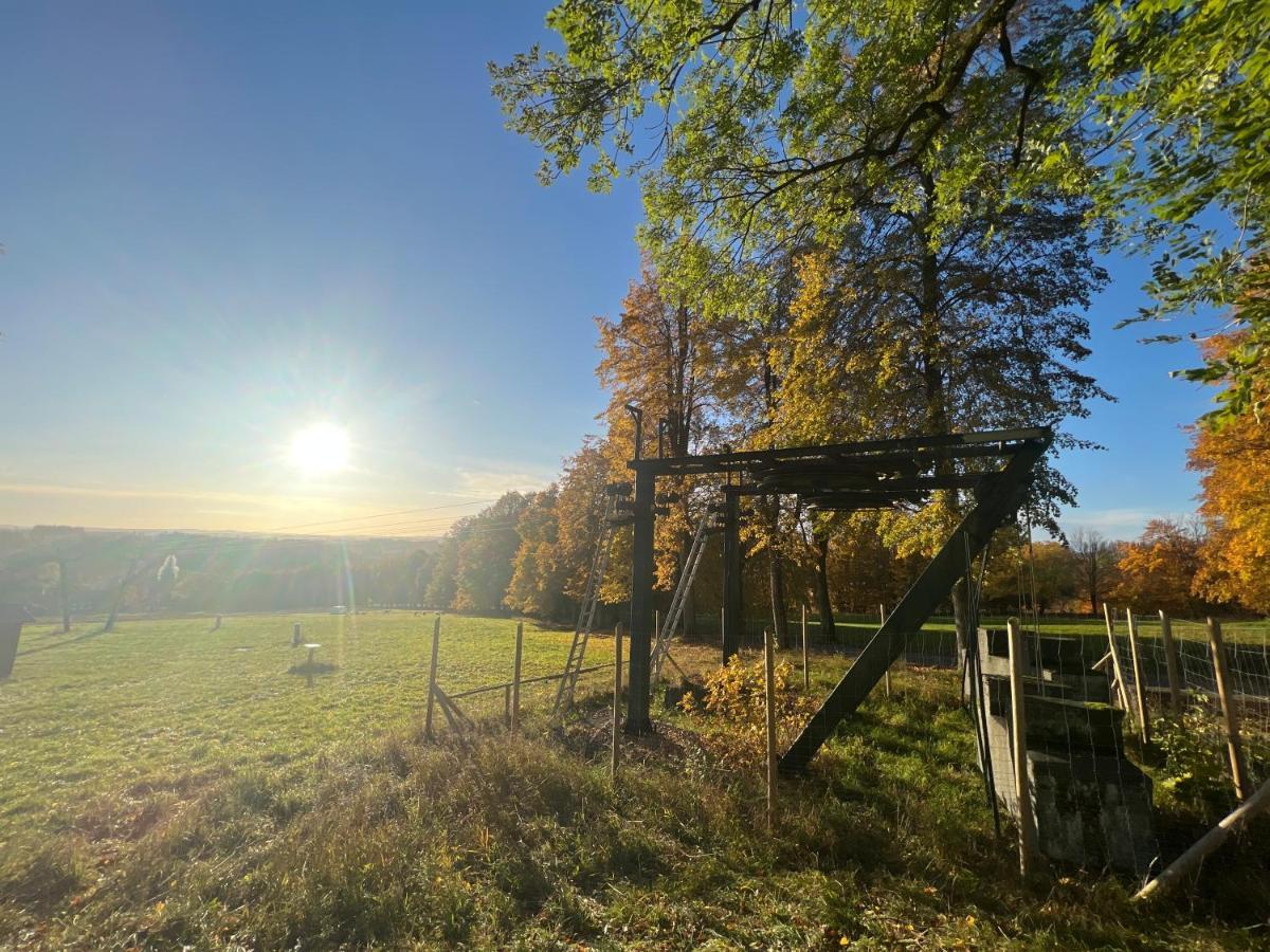 Apartamento Moderne Und Zentral Gelegene In Mit Rodelpiste Und Start Langlauf In 300 Metern Entfernung *