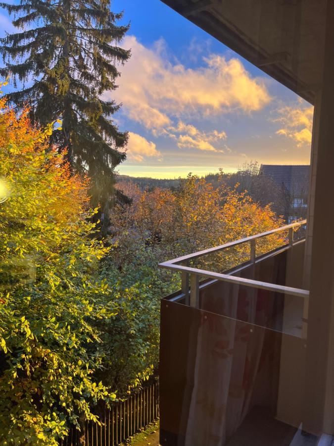Moderne Und Zentral Gelegene In Mit Rodelpiste Und Start Langlauf In 300 Metern Entfernung Apartamento Braunlage