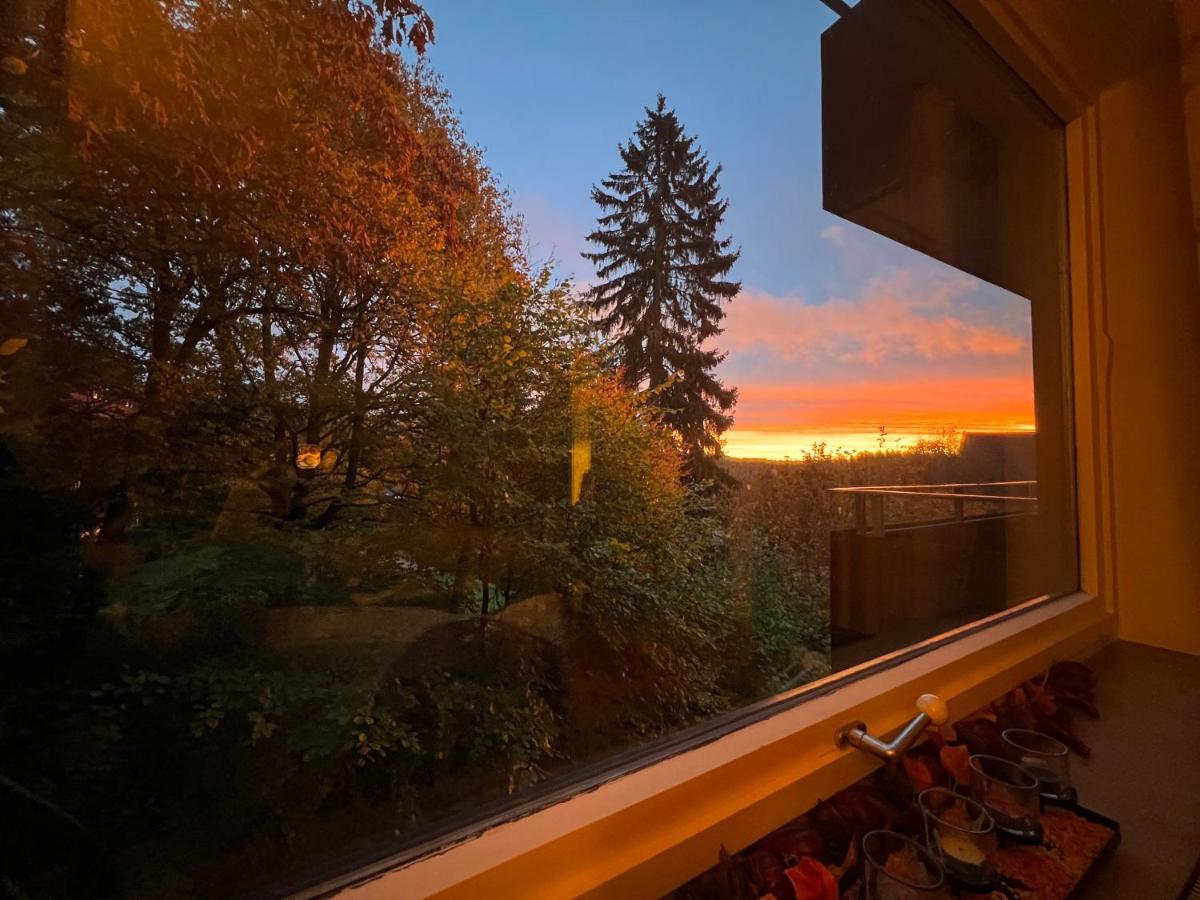 Apartment Moderne Und Zentral Gelegene In Mit Rodelpiste Und Start Langlauf In 300 Metern Entfernung *