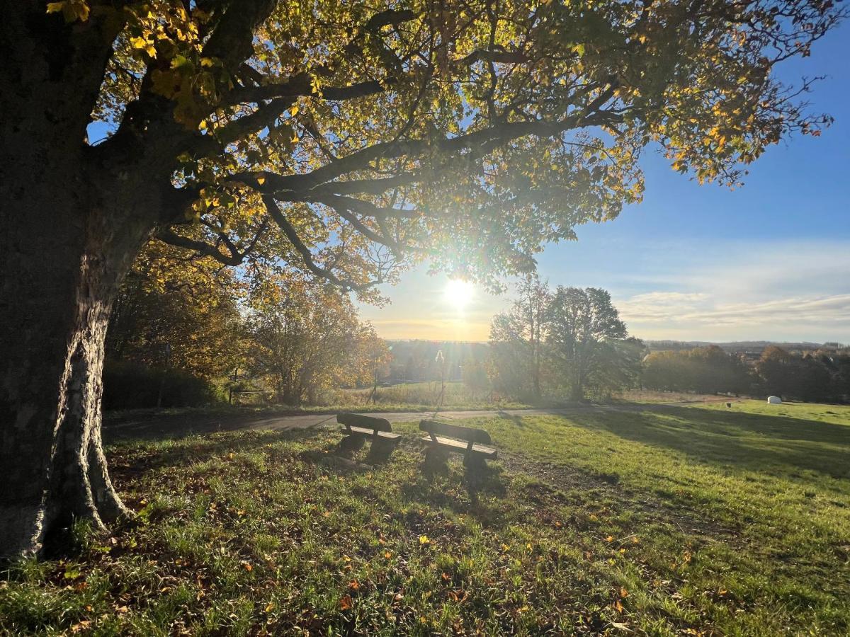 Apartment Moderne Und Zentral Gelegene In Mit Rodelpiste Und Start Langlauf In 300 Metern Entfernung Braunlage
